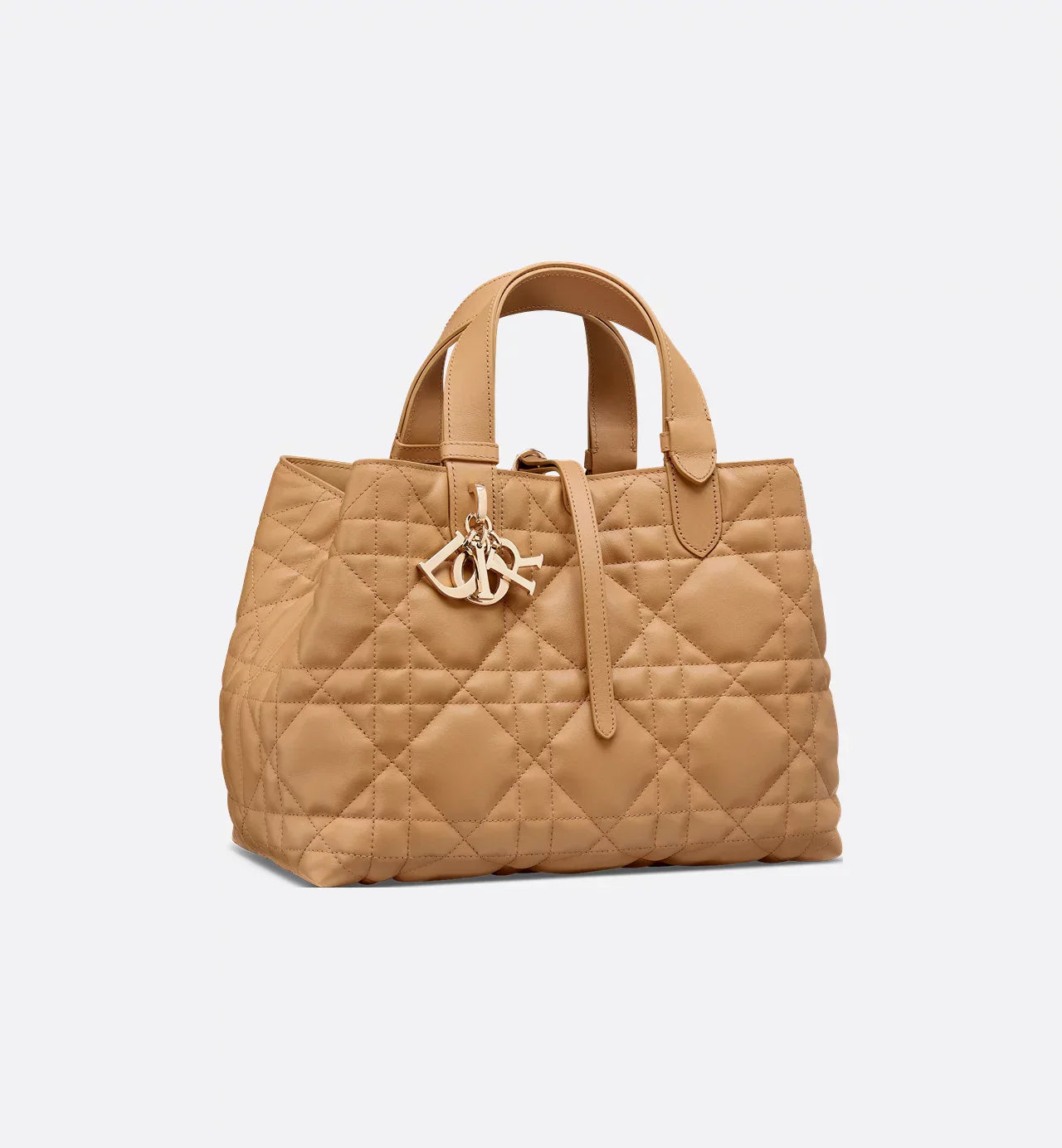 Bolsa Dior Toujours média